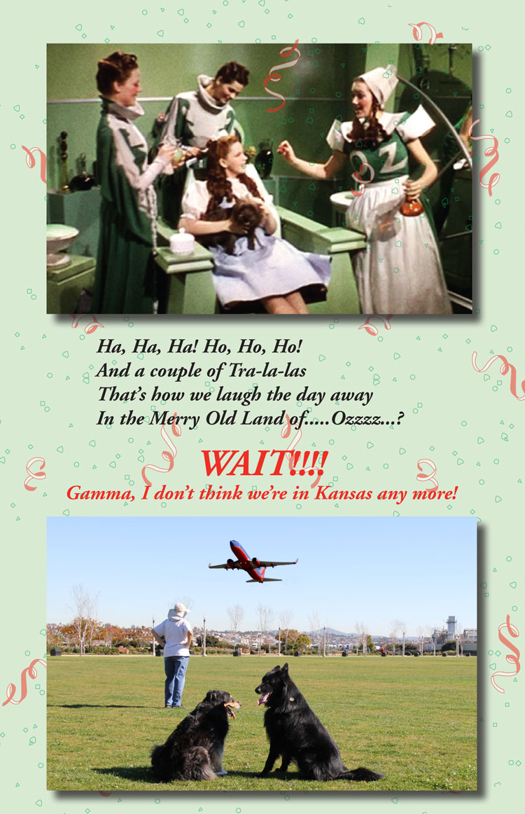 MerryNewLand of Fun1