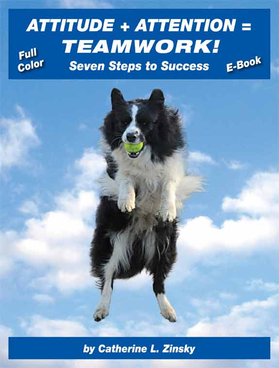 Catherine Zinsky EBook