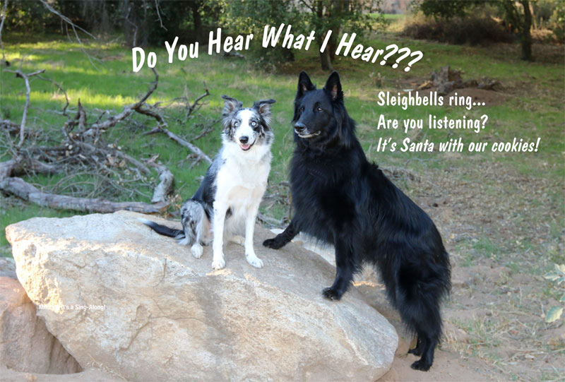 Rigel and Vega greeting