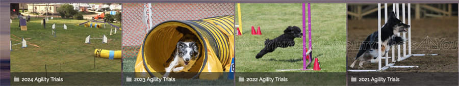 HOme page of agilityvideos.com